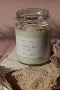 Flowering Gum Soy Candle - Renee Loves Frances
