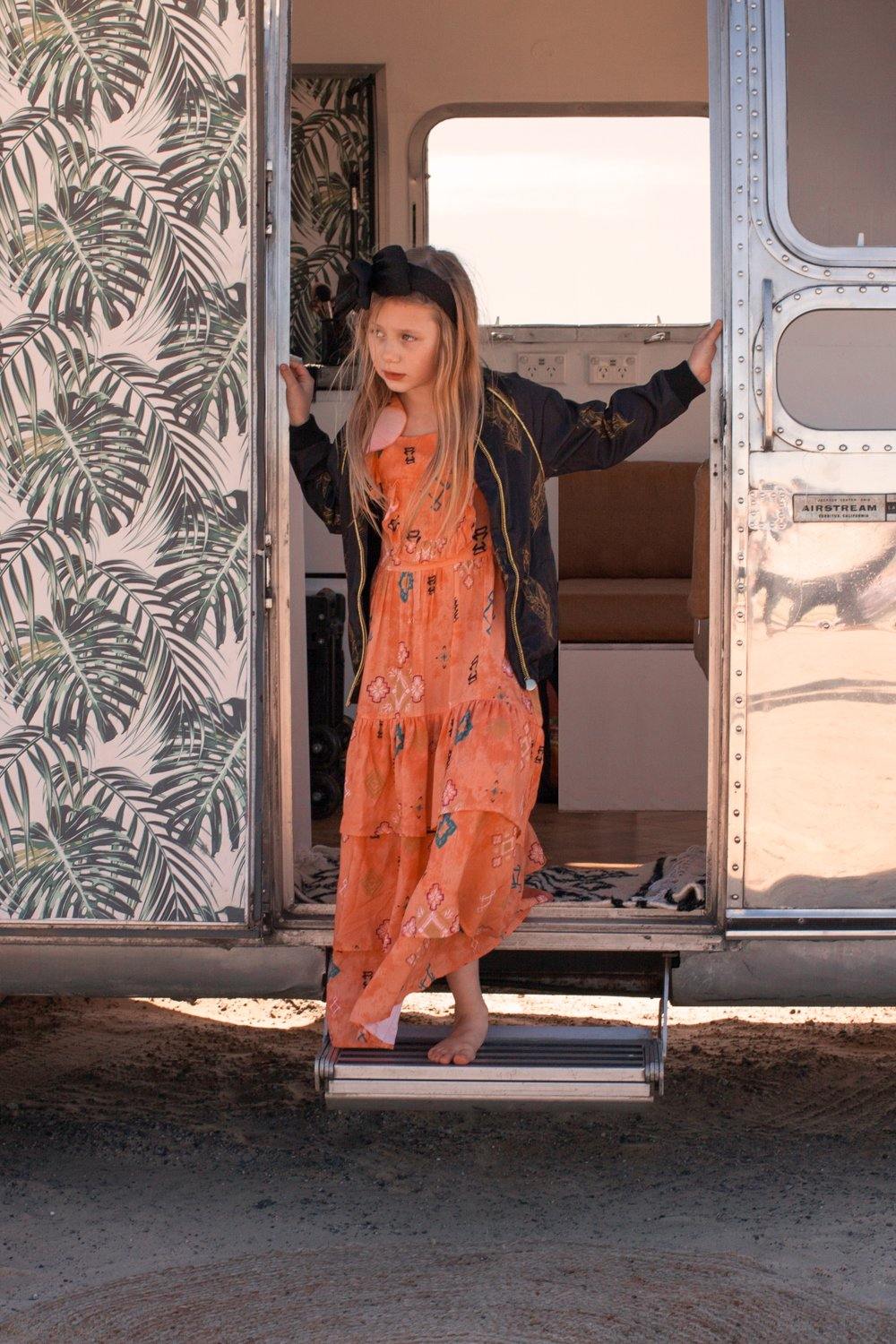 The Poppin Dress- Captain Print - Renee Loves Frances