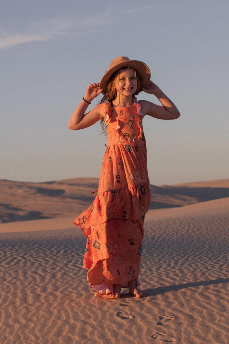 The Poppin Dress- Captain Print - Renee Loves Frances